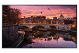 Monitor 55" Samsung, QM55R, 4k, LED