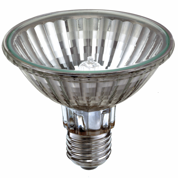 Bulb, PAR 30, E27, 75W